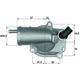 Mahle th1087