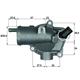 Mahle th1187