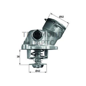 Термостат - TM 29 100D