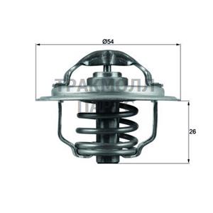 Термостат - TX 111 87D
