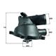 Mahle tm4495