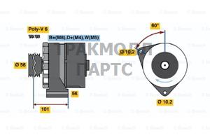 Реле-регулятор генератора AGCO ALLIS 91-00 AGCO WHITE - 0120469105