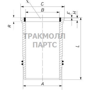 ГИЛЬЗА - 061 WN 15 01