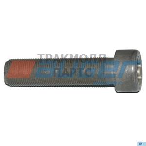 Screw Parts - 77299