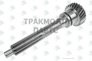 Input Shaft 25 T - 95.57.0074