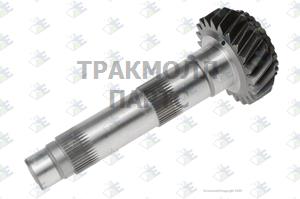 Main Shaft 22 T - 88.53.0078