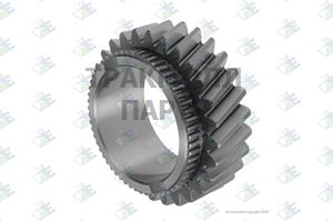 Constant Gear 28 T - 95.53.0837