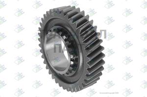 Gear 2nd Speed 38 T - 95.53.0843