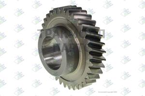 Constant Gear 34 T - 95.53.0883