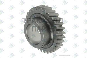 Gear 4th Speed 31 T - 95.53.0882