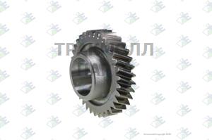 Gear 3rd Speed 34 T - 74.53.0641