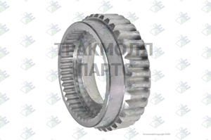 GEAR WORM 36 T - 12130001