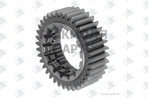 GEAR M/S 36 T - 35530019