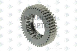 GEAR M/S 44 T - 35530024