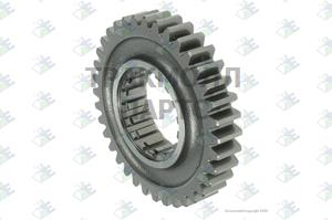 GEAR 3RD SPEED 36 T - 35530051