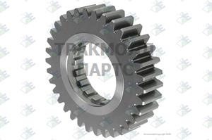 GEAR M/S 34 T - 35530064