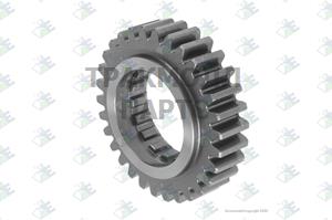 GEAR M/S 30 T - 35530065