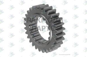 GEAR M/S 28 T - 35530116