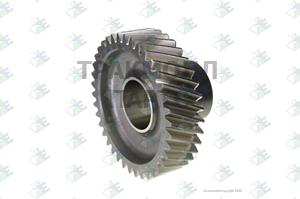 CONSTANT GEAR 38 T - 60532037