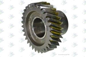 CONSTANT GEAR 31 T - 60532479