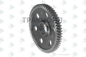 RETARDER GEAR 61 T - 60532487