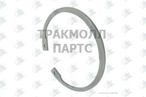 SEEGER RING T.291 MM - 60532756