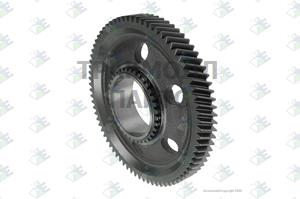 RETARDER GEAR 75 T - 74530929