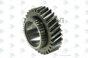 GEAR 5TH SPEED 30 T - 77530080