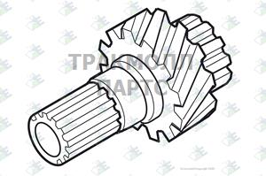 DRIVE GEAR 24 T - 81170043