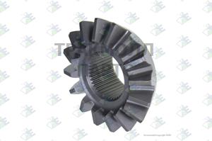 SIDE GEAR 16 T.-41 SPL - 81170045