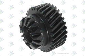 SPUR GEAR 31 T - 81170356