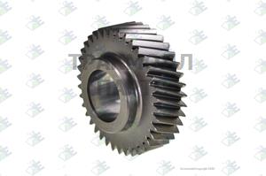 CONSTANT GEAR 38 T - 95535770