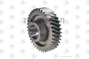 GEAR 5TH SPEED 37 T - 95535807