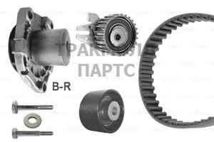 К-Т ЗУБЧАТЫХ РЕМЕНЕЙ/ВОДЯНОГО НАСОСА - 1987946448